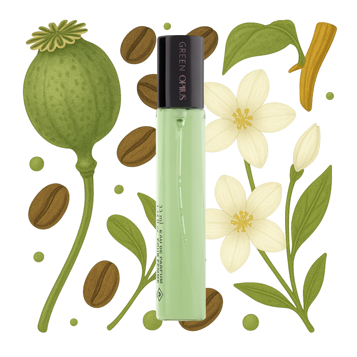 Damen Parfüm 33ml - GREEN OPIIUS
